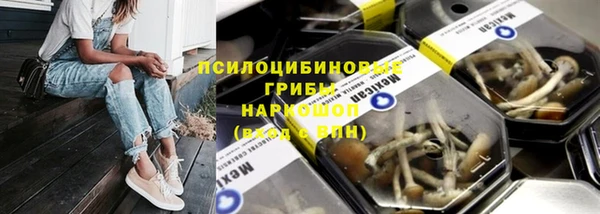 кристаллы Покачи